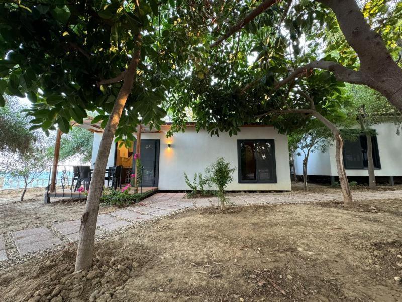 Otelox Ayas Beach Bungalov Erdemli Exterior foto